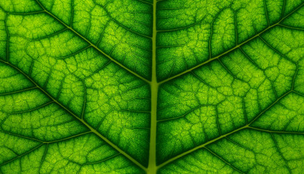 Similar image 22446917