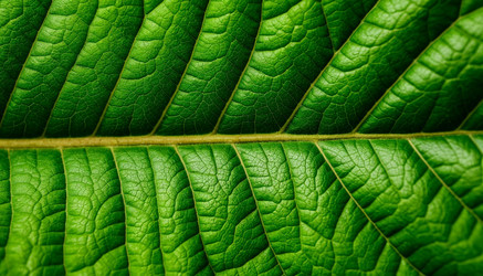 Similar image 22446919