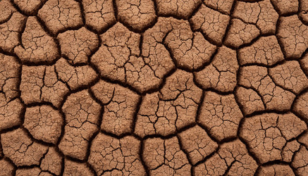 Similar image 22446923