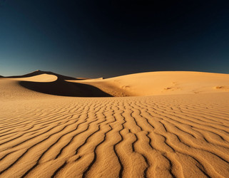 Similar image 22446933