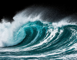 Similar image 22446978