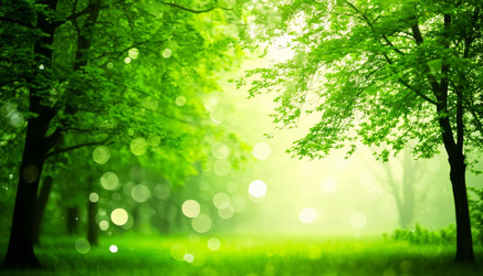 Similar image 22446988