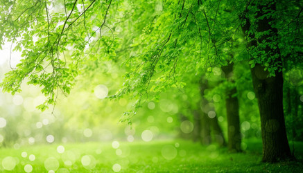 Similar image 22446992