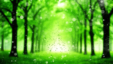 Similar image 22446996