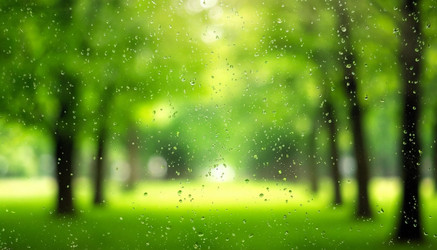 Similar image 22446998