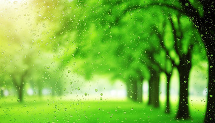 Similar image 22447000