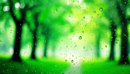 Similar image 22447002