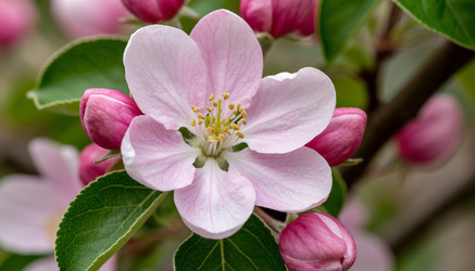 Similar image 22447005