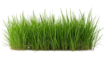 Similar image 22447011