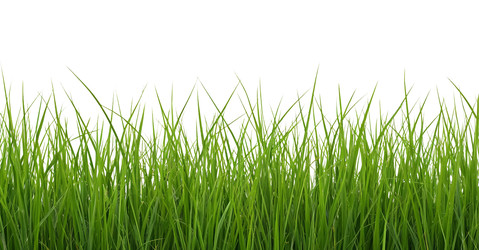 Similar image 22447015