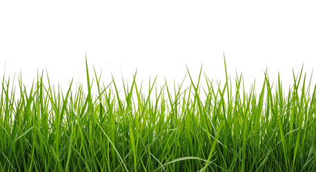 Similar image 22447019