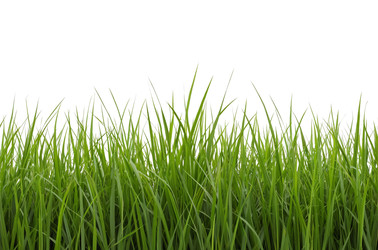 Similar image 22447023