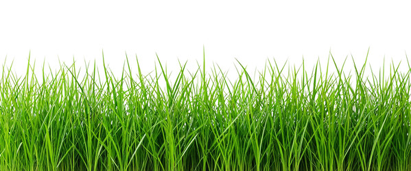 Similar image 22447027