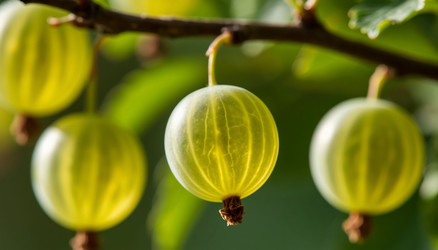 Similar image 22447292