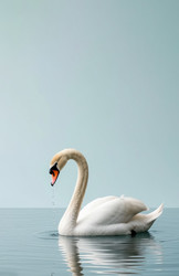 Similar image 22447345