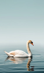 Similar image 22447347