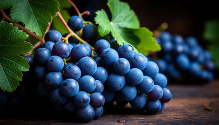 Similar image 22447348