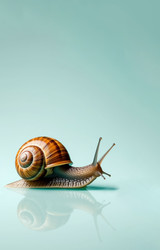 Similar image 22447353