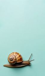 Similar image 22447361