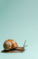 Similar image 22447363