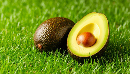 Similar image 22447374