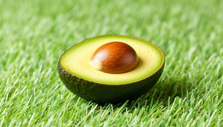 Similar image 22447378