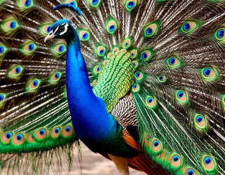 Similar image 22447380