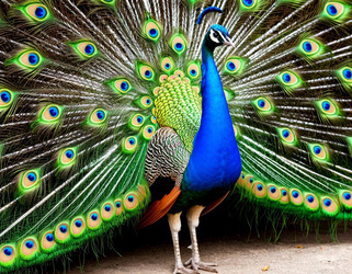 Similar image 22447384