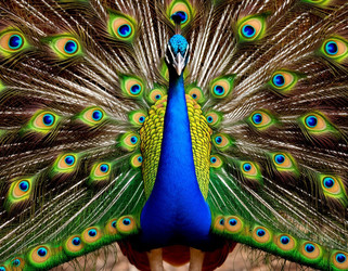 Similar image 22447388