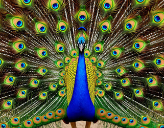 Similar image 22447389