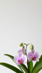 Similar image 22415116