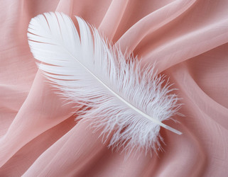 Similar image 22447423