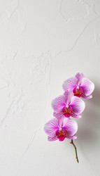 Similar image 22447424