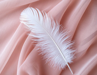 Similar image 22447428