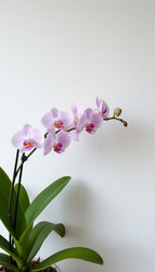 Similar image 22447430