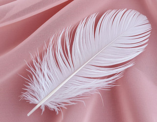 Similar image 22447434