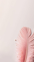 Similar image 22447438