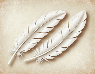 Similar image 22447446