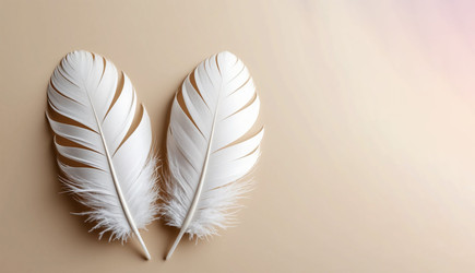 Similar image 22447448