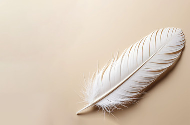 Similar image 22447450