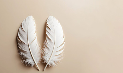 Similar image 22447452