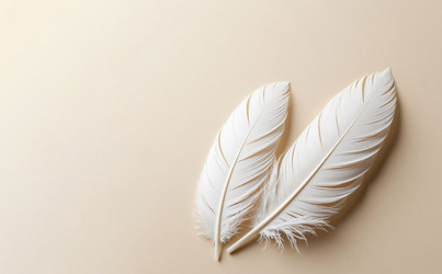 Similar image 22447454