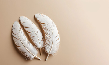 Similar image 22447458