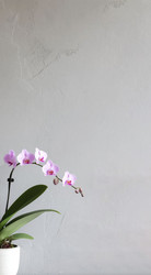 Similar image 22447465