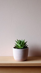 Similar image 22447521