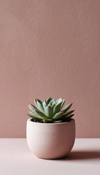 Similar image 22447523