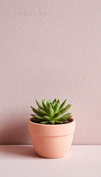 Similar image 22447525