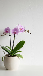 Similar image 22447529