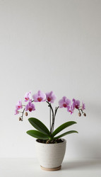 Similar image 22447531