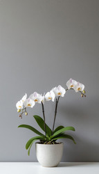 Similar image 22447533